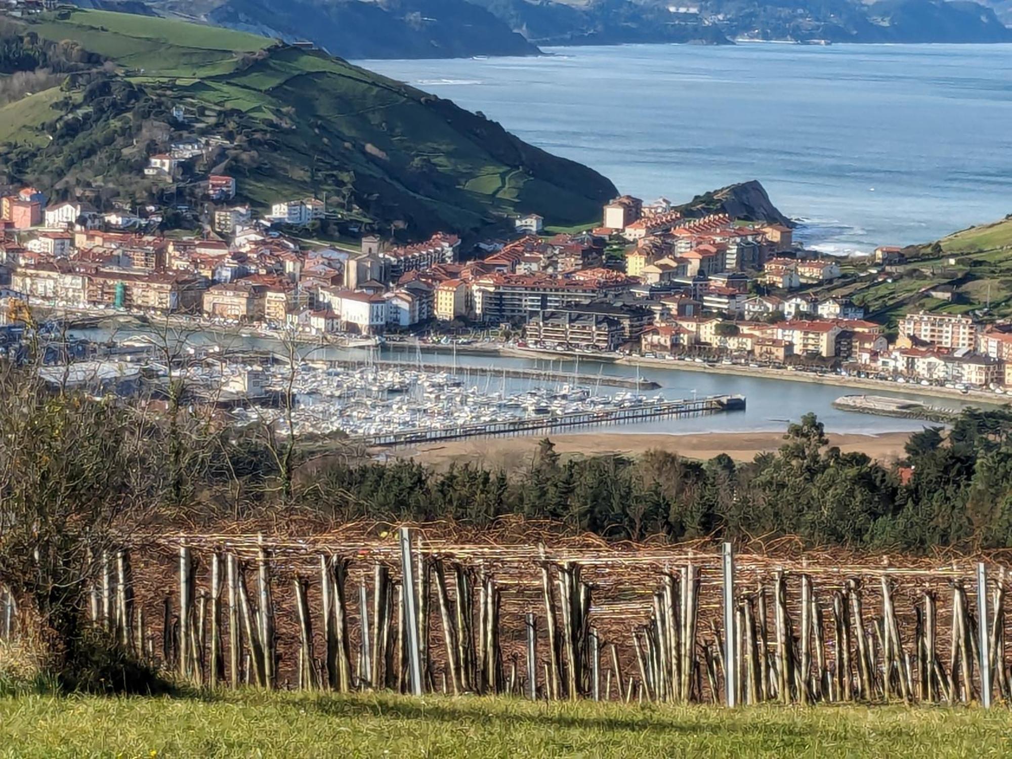 Zumaia Basque Alai Apartment Exterior photo
